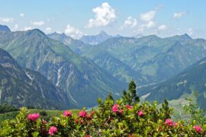Les coups de cœur de notre voyage au Costa Rica : immersion entre nature, aventure et découvertes authentiques