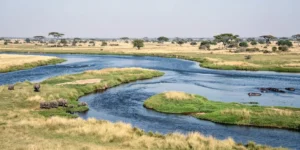 fleuve okavango carte